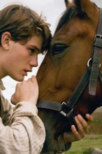 War Horse